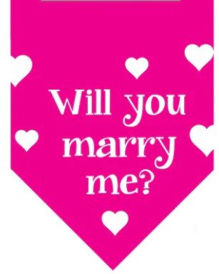 Winey Bitches Co Will You Marry Me? Doggie Bandana