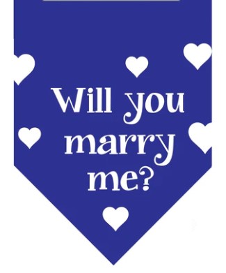 Winey Bitches Co Will You Marry Me? Doggie Bandana