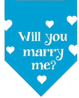Winey Bitches Co Will You Marry Me? Doggie Bandana