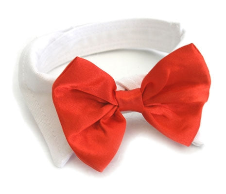 Winey Bitches Co Red Satin Bowtie w/ White Cotton Collar