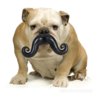 Winey Bitches Co Humunga Stache