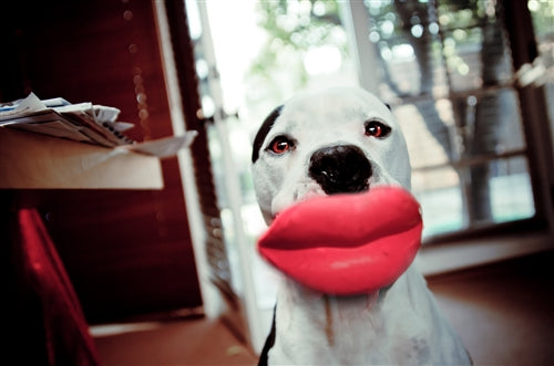 Winey Bitches Co Humunga Lips