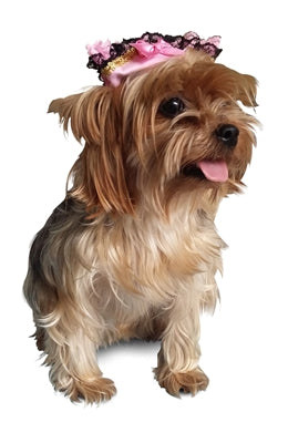 Winey Bitches Co Victorian Lace Pirate Hat- Pet Costume