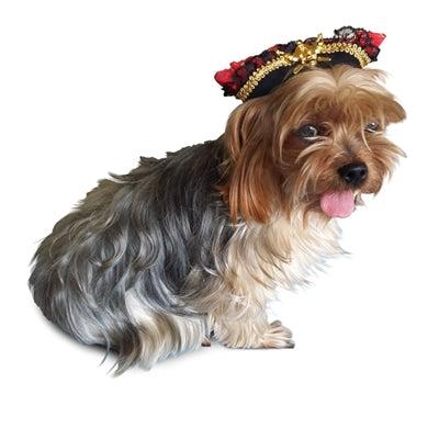 Winey Bitches Co Swashbuckler Pirate Hat- Pet Costume