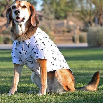 Doggie Hawaiian Camp Shirt -Anchors Aweigh - Winey Bitches - Wine- Women- K9's
