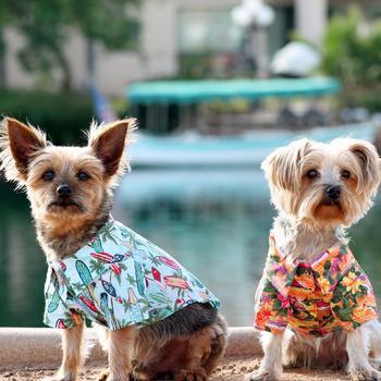 Doggie Hawaiian Camp Shirt - Sunset Hibiscus - Winey Bitches - Wine- Women- K9's