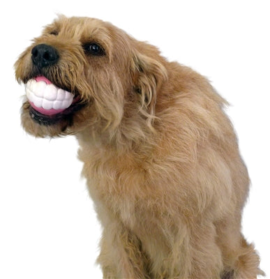 Winey Bitches Co Humunga Chomp