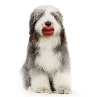 Winey Bitches Co Humunga Lips