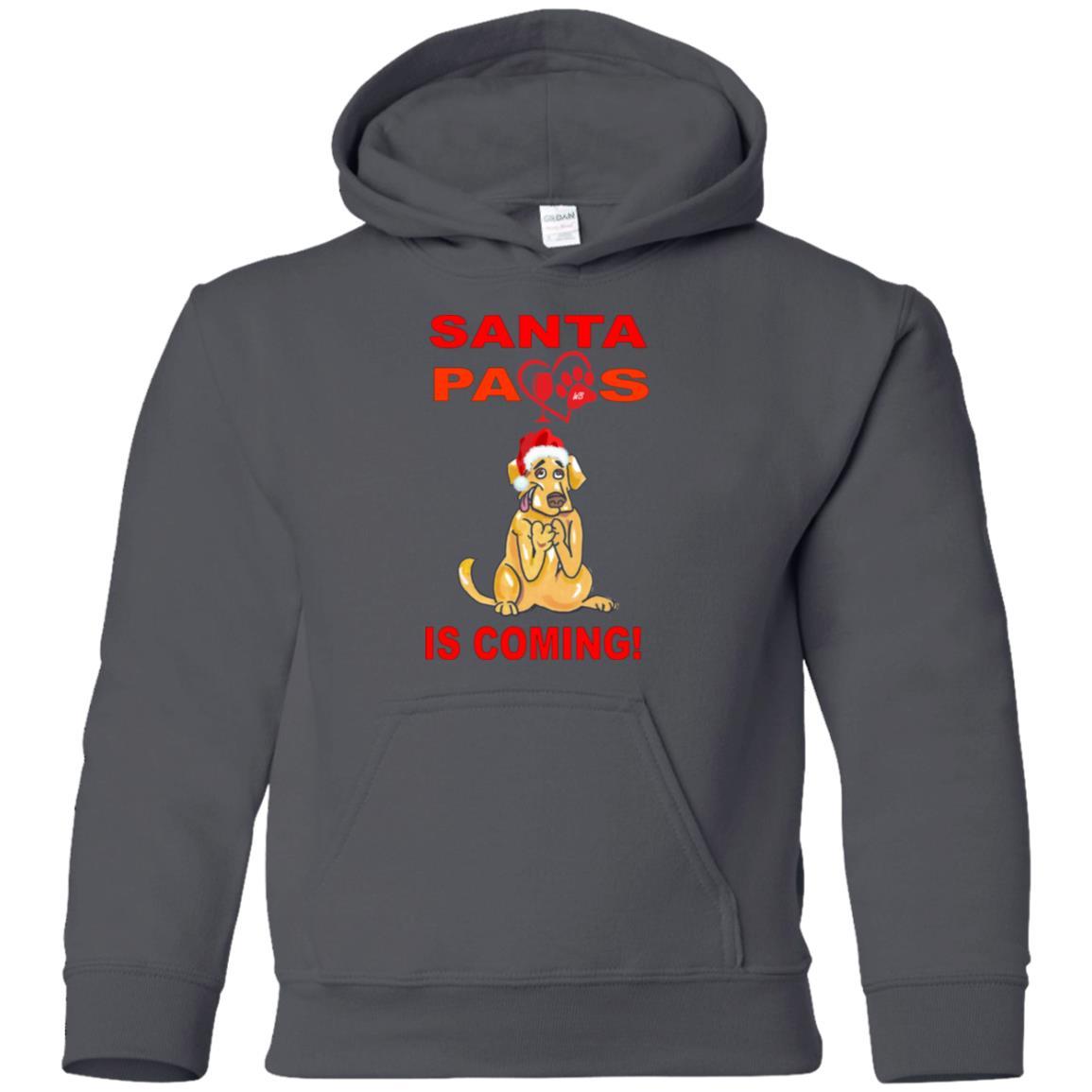 Sweatshirts Charcoal / YS WineyBitches.co Santa Paws Is Coming Youth Pullover Hoodie WineyBitchesCo