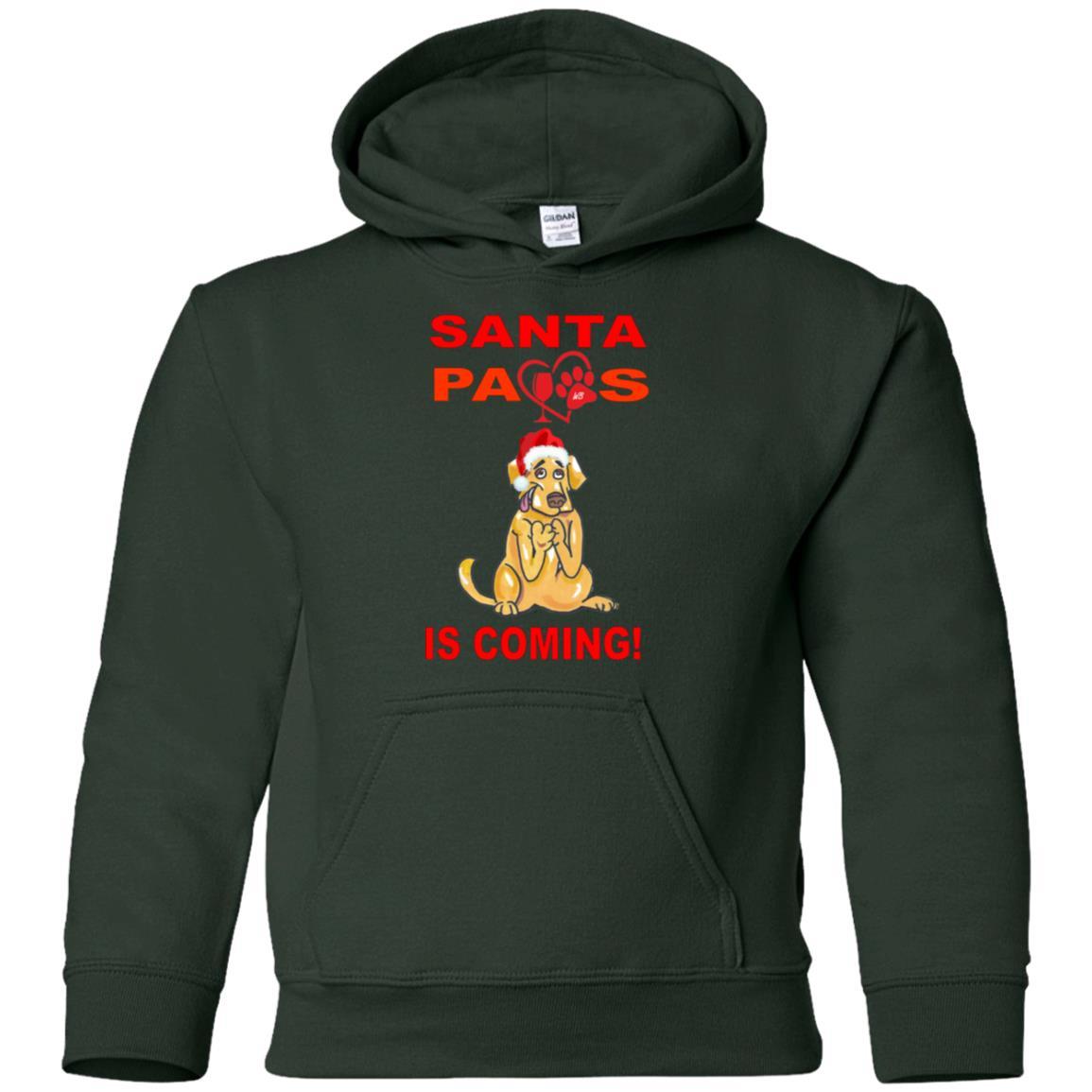 Sweatshirts Forest Green / YS WineyBitches.co Santa Paws Is Coming Youth Pullover Hoodie WineyBitchesCo