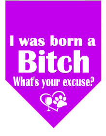 Winey Bitches Co I Was Born A Bitch-What's Your Excuse? Doggie Bandana