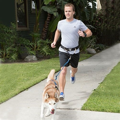 Winey Bitches Co Urban Trail® Hands Free Belt and Jogger's Leash Combo