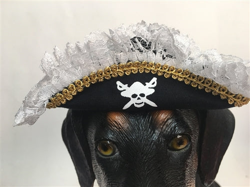 Winey Bitches Co Scallywag Pirate Hat- Pet Costume