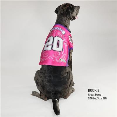 Snoop Doggie Doggs Deluxe Pink Doggie Tee-Boss Lady BIG