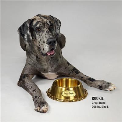 Snoop Doggie Doggs Off The Chain Gold Dog Bowl