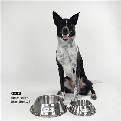 Snoop Doggie Doggs Off The Chain Stainless Steel Dog Bowl