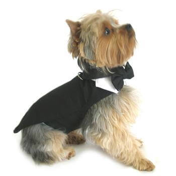 Black Dog Harness Tuxedo w/Tails, Bow Tie, and Cotton Collar - Winey Bitches - Wine- Women- K9's