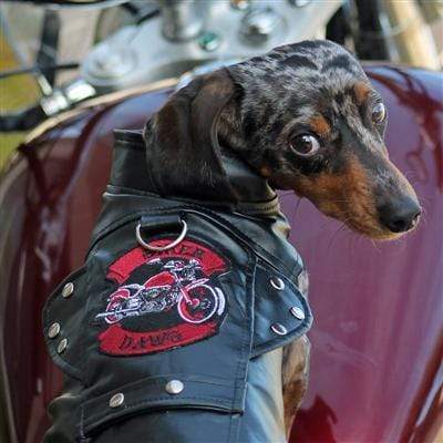 Pet Accessories Winey Bitches Biker Dawg Motorcycle Jacket - Black WineyBitchesCo