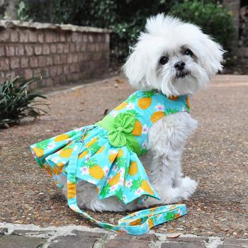 Pineapple Luau Dog Harness Dress with Matching Leash - Winey Bitches - Wine- Women- K9's