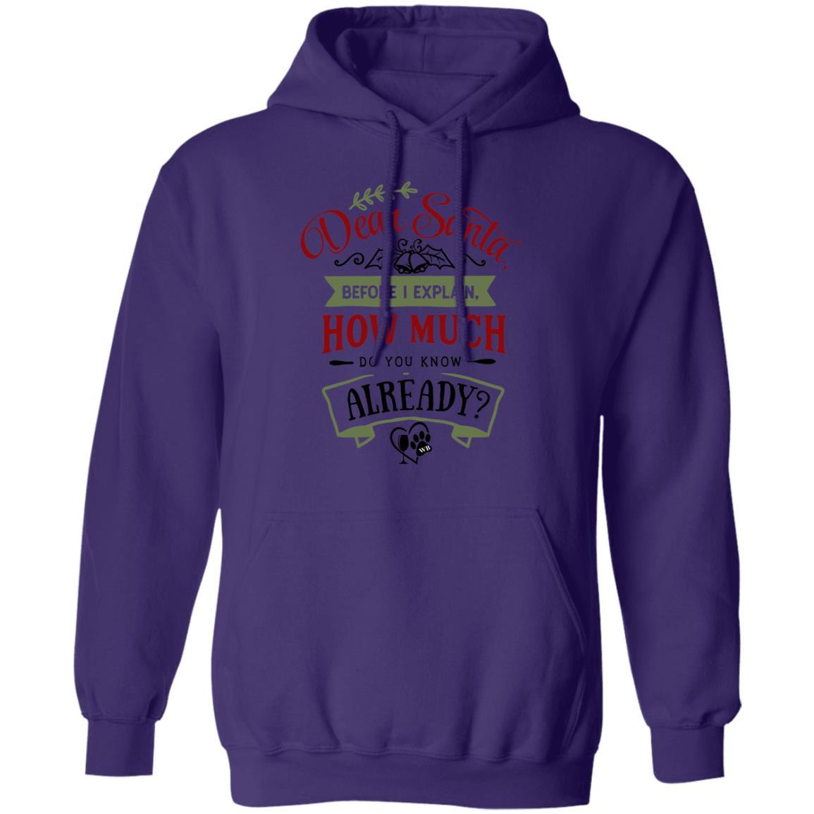 Sweatshirts Purple / S WineyBitches.Co "Dear Santa Before I Explain, How Much Do You Already Know" Pullover Hoodie 8 oz. WineyBitchesCo